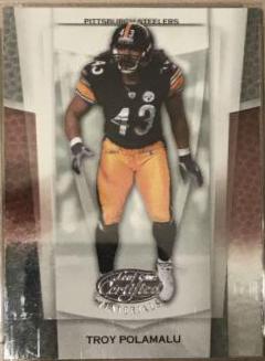 Troy Polamalu #113