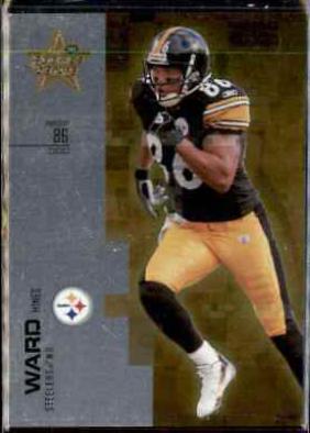 Hines Ward [Silver] #76