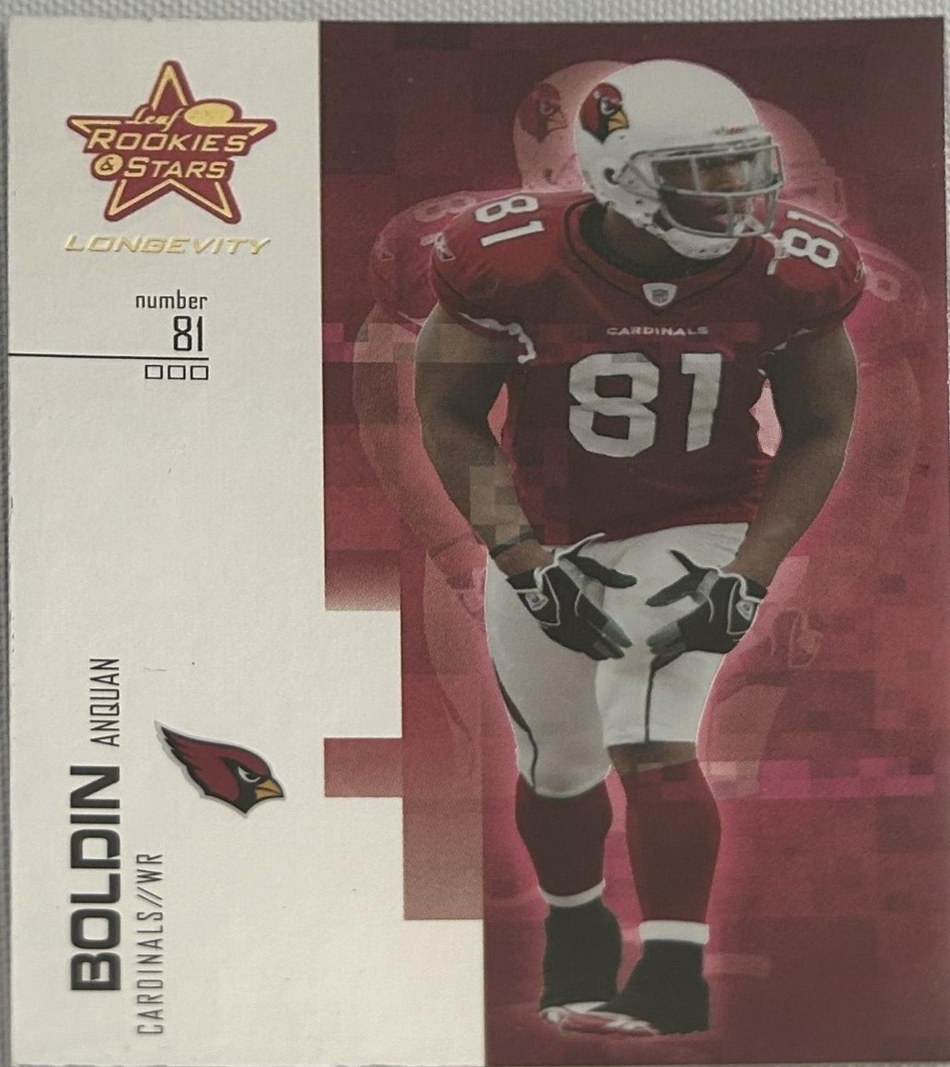 Anquan Boldin #41