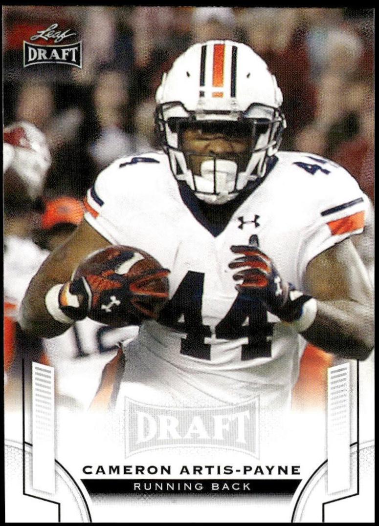 Cameron Artis-Payne #12