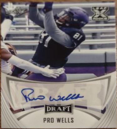 Pro Wells #BA-PW1