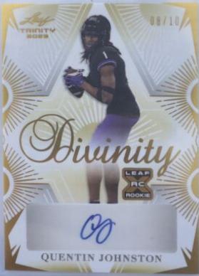 Quentin Johnston #D-QJ1