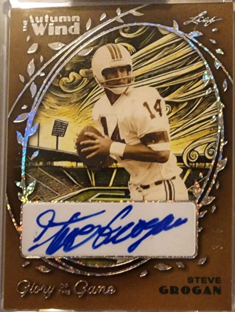 Steve Grogan [Holo Dots] #AW-SG1