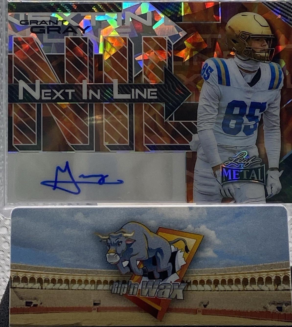Grant Gray [Prismatic Silver] #NL-GG1
