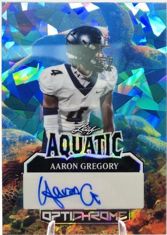 Aaron Gregory [Turtle Crystal] #A-AG1