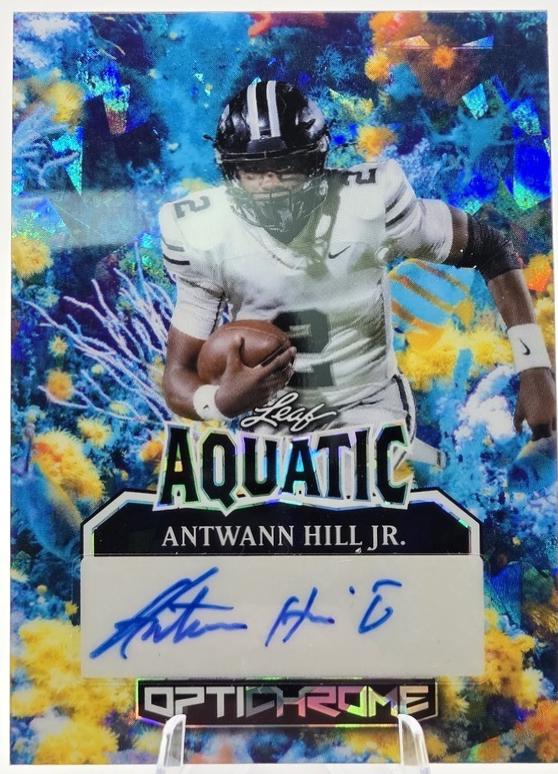 Antwann Hill Jr. [Coral Reef Crystal] #A-AHJ