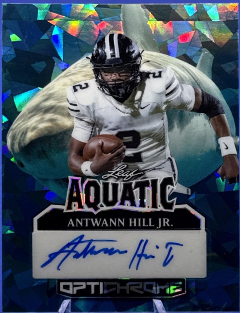 Antwann Hill Jr. [Shark Crystal] #A-AHJ