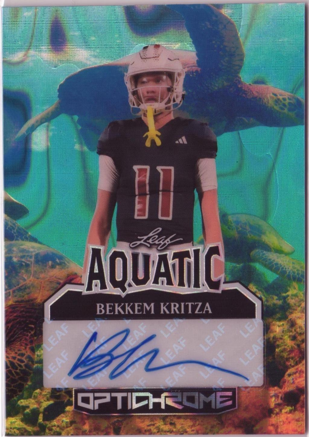 Bekkem Kritza [Turtle Prismatic] #A-BK1