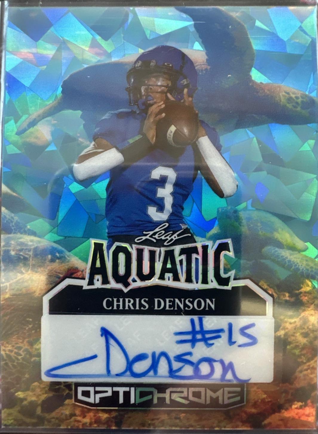 Chris Denson [Turtle Crystal] #A-CD1
