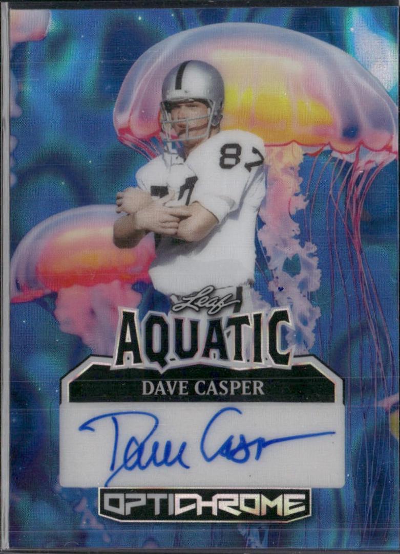 Dave Casper [Prismatic] #A-DC2