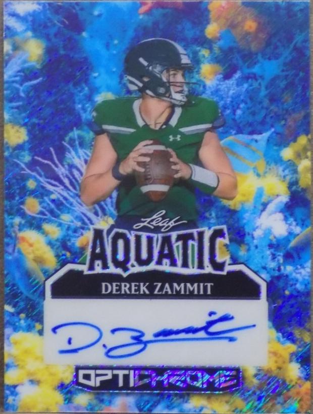 Derek Zammit [Shimmer] #A-DZ1