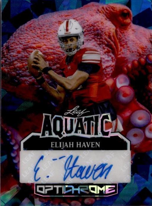 Elijah Haven [Octopus Crystal] #A-EH1
