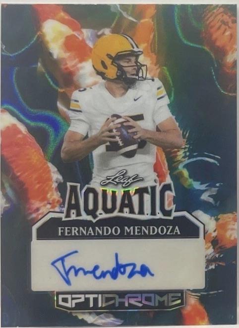 Fernando Mendoza [Koi Fish Lava] #A-FM1