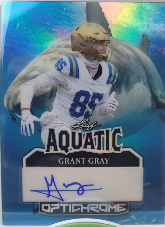 Grant Gray [Koi Fish Prismatic] #A-GG1