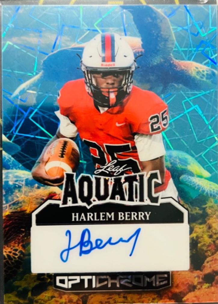 Harlem Berry [Turtle Prismatic] #A-HB1