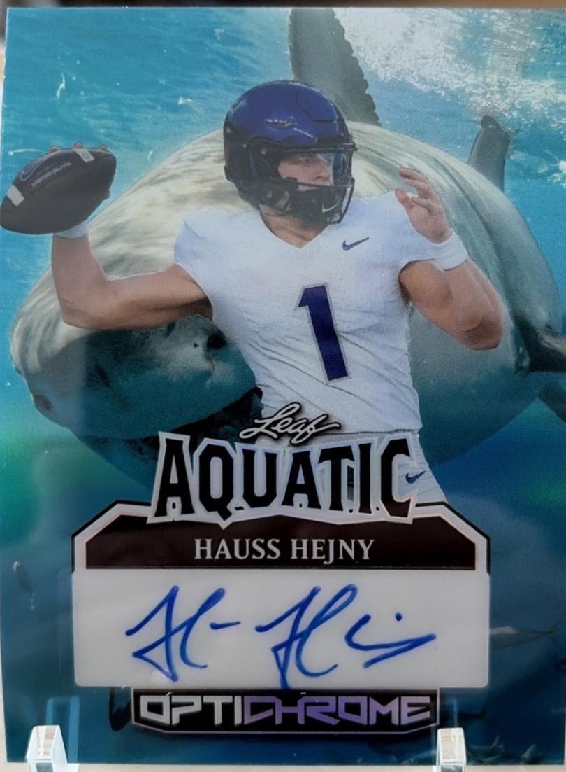 Hauss Hejny [Prismatic] #A-HH1