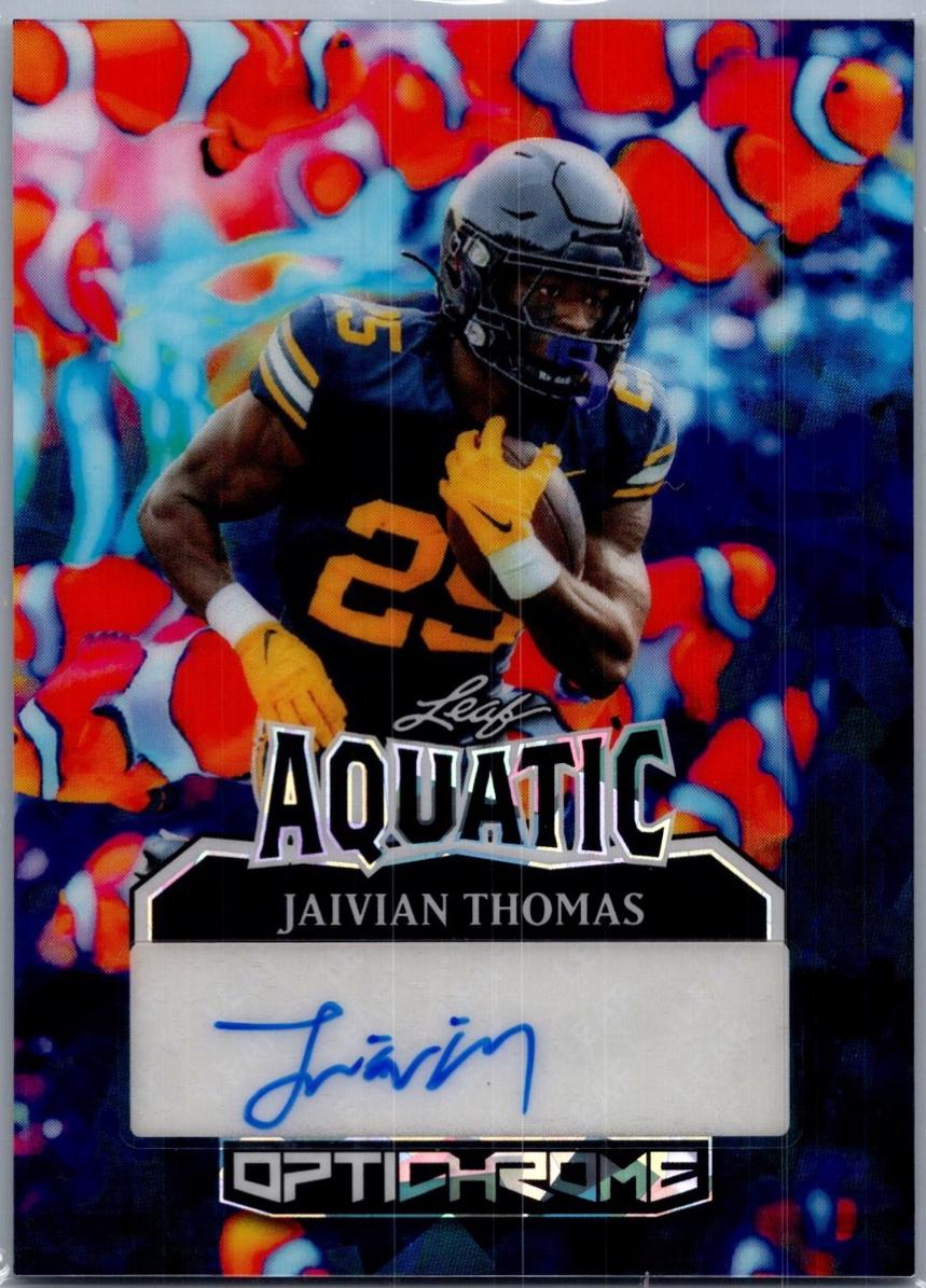 Jaivian Thomas [Koi Fish Crystal] #A-JT2