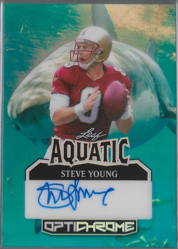 Steve Young [Shark Prismatic] #A-SY1