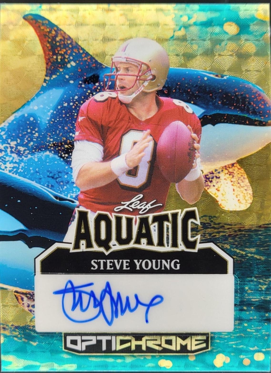 Steve Young [Super Prismatic Gold] #A-SY1