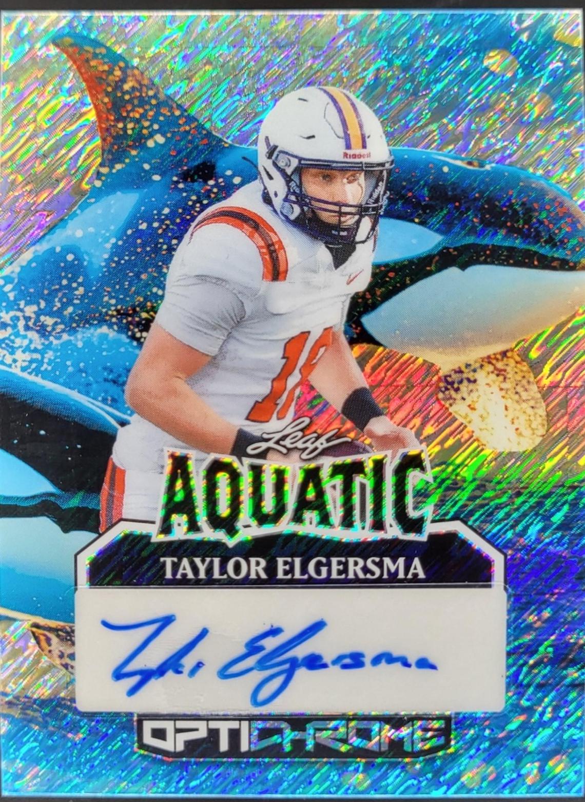 Taylor Elgersma [Shimmer] #A-TE1