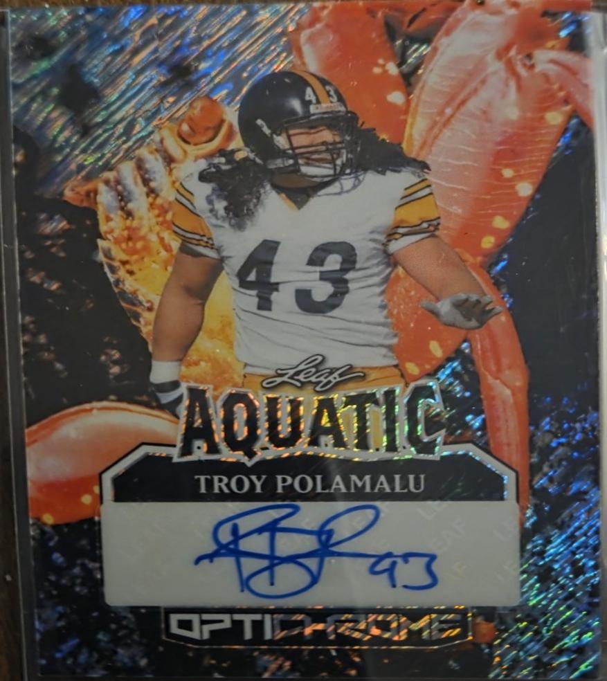 Troy Polamalu [Prismatic] #A-TP1