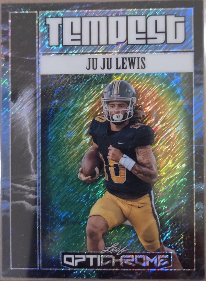 Ju Ju Lewis #TA-JL1