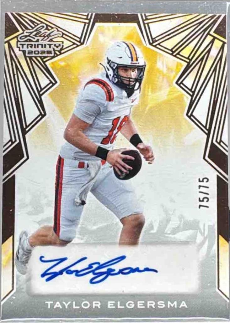 Taylor Elgersma #BA-TE1