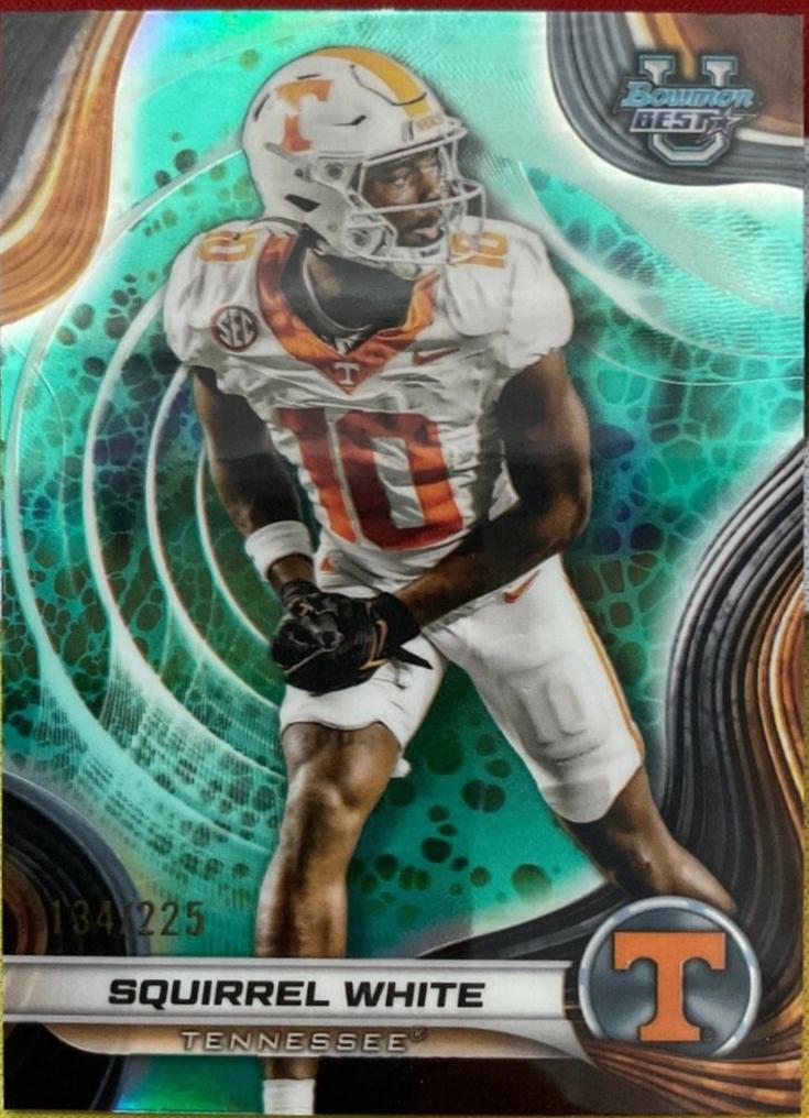 Squirrel White [White Refractor] #70