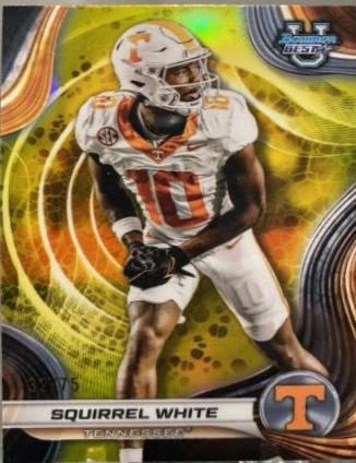Squirrel White [Yellow Refractor] #70
