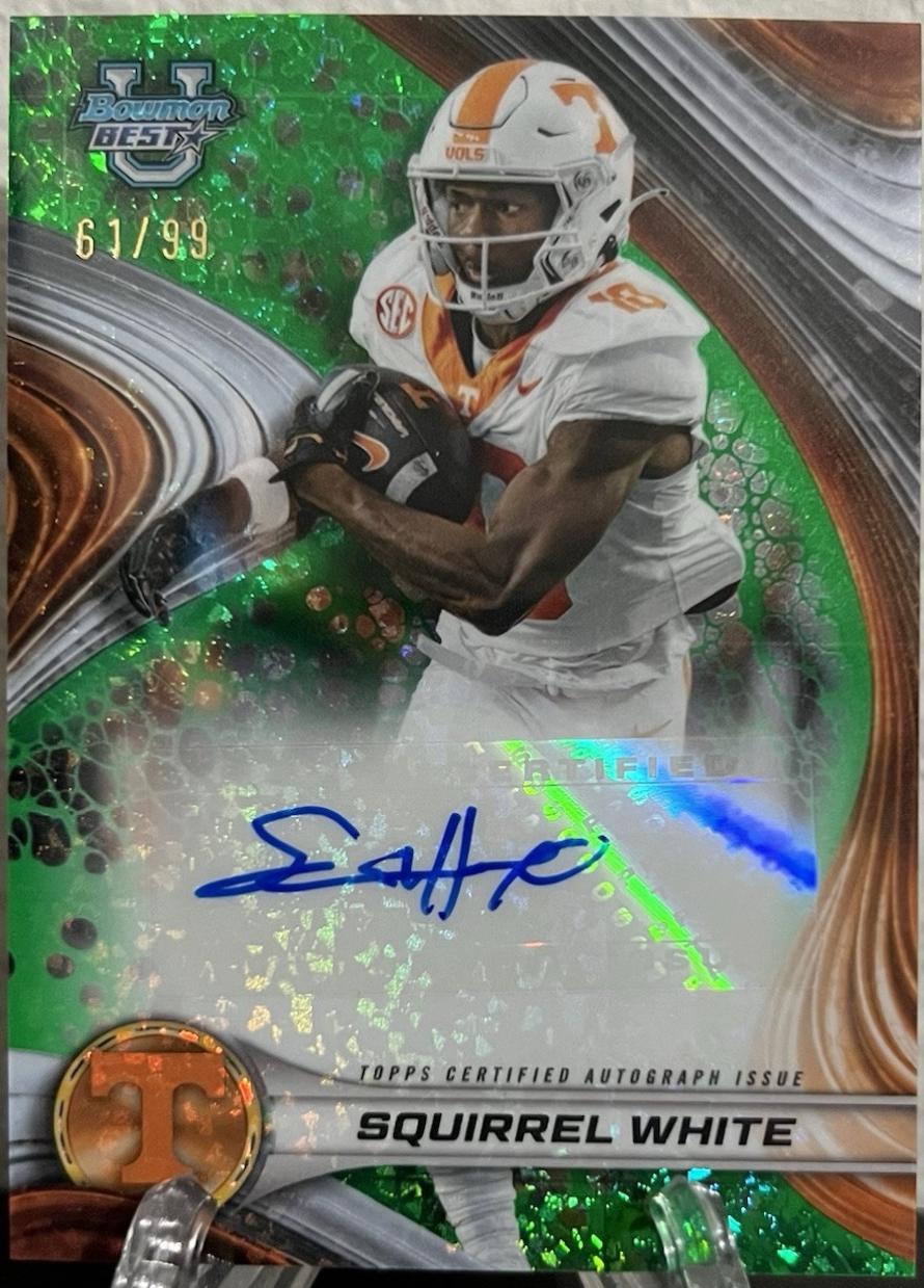 Squirrel White [Green Mini-Diamond] #BOA-SW