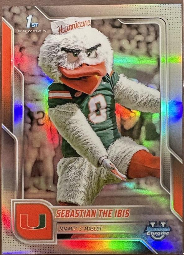 Sebastian The Ibis #BCM-10