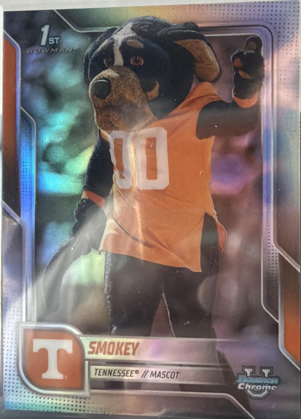 Smokey #BCM-18
