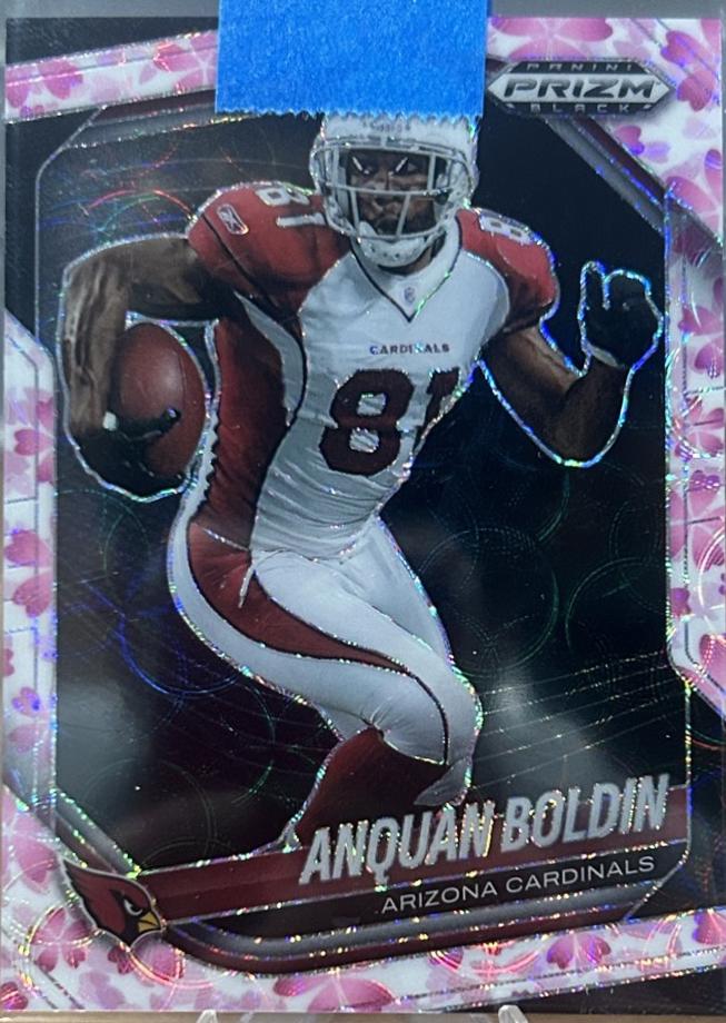 Anquan Boldin [Cherry Blossom] #2