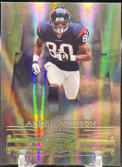 Andre Johnson [Silver Holofoil] #82