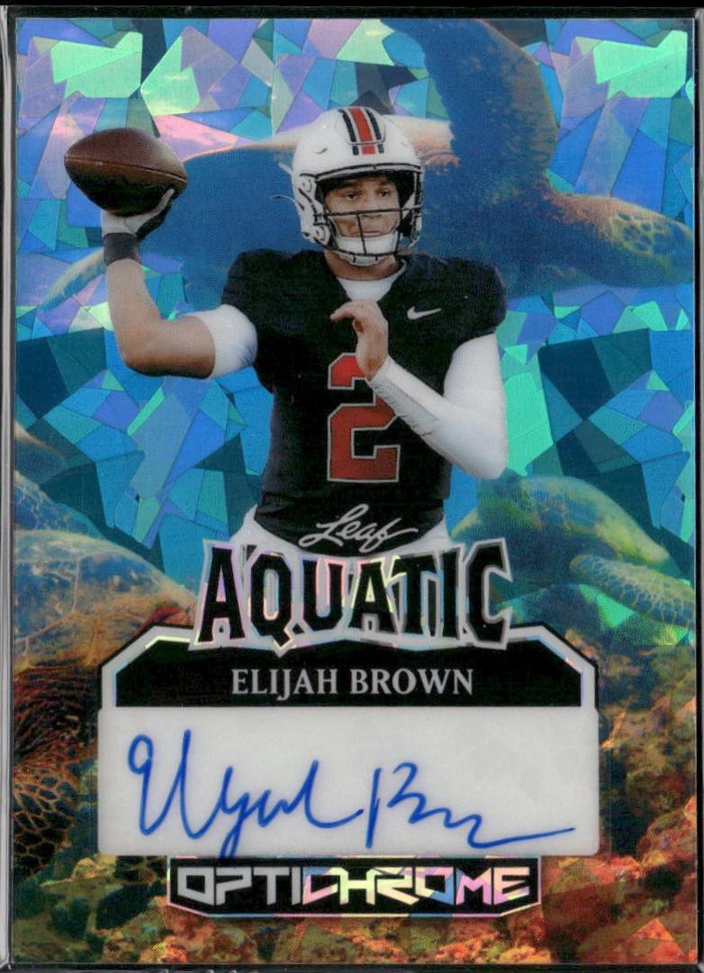 Elijah Brown [Turtle Crystal] #A-EB1