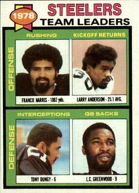 Pittsburgh Steelers #19