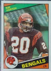 Ray Horton #41