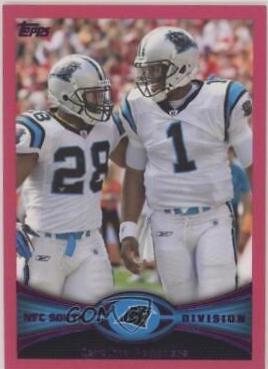 Carolina Panthers [Pink] #282