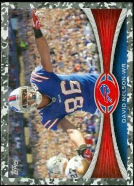 David Nelson [Camo] #255