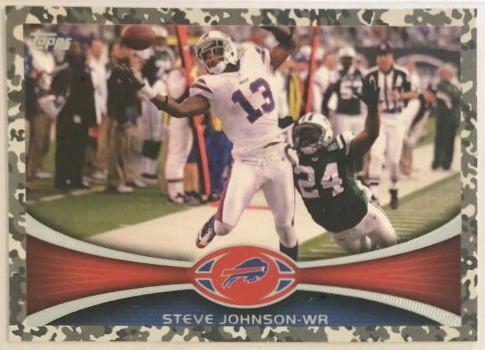 Steve Johnson [Camo] #62