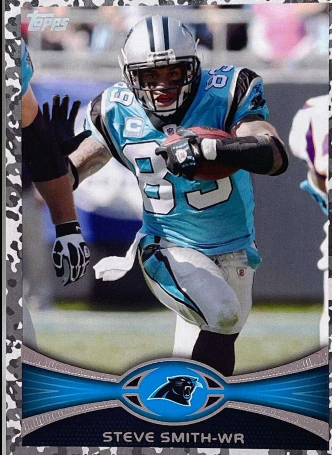 Steve Smith [Blue Jersey Camo] #374