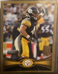 Troy Polamalu [Gold] #10