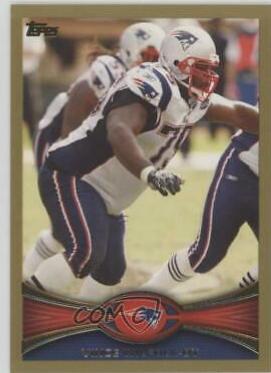 Vince Wilfork [Gold] #171