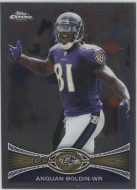 Anquan Boldin #83