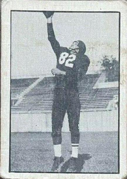 Joey Pal #47