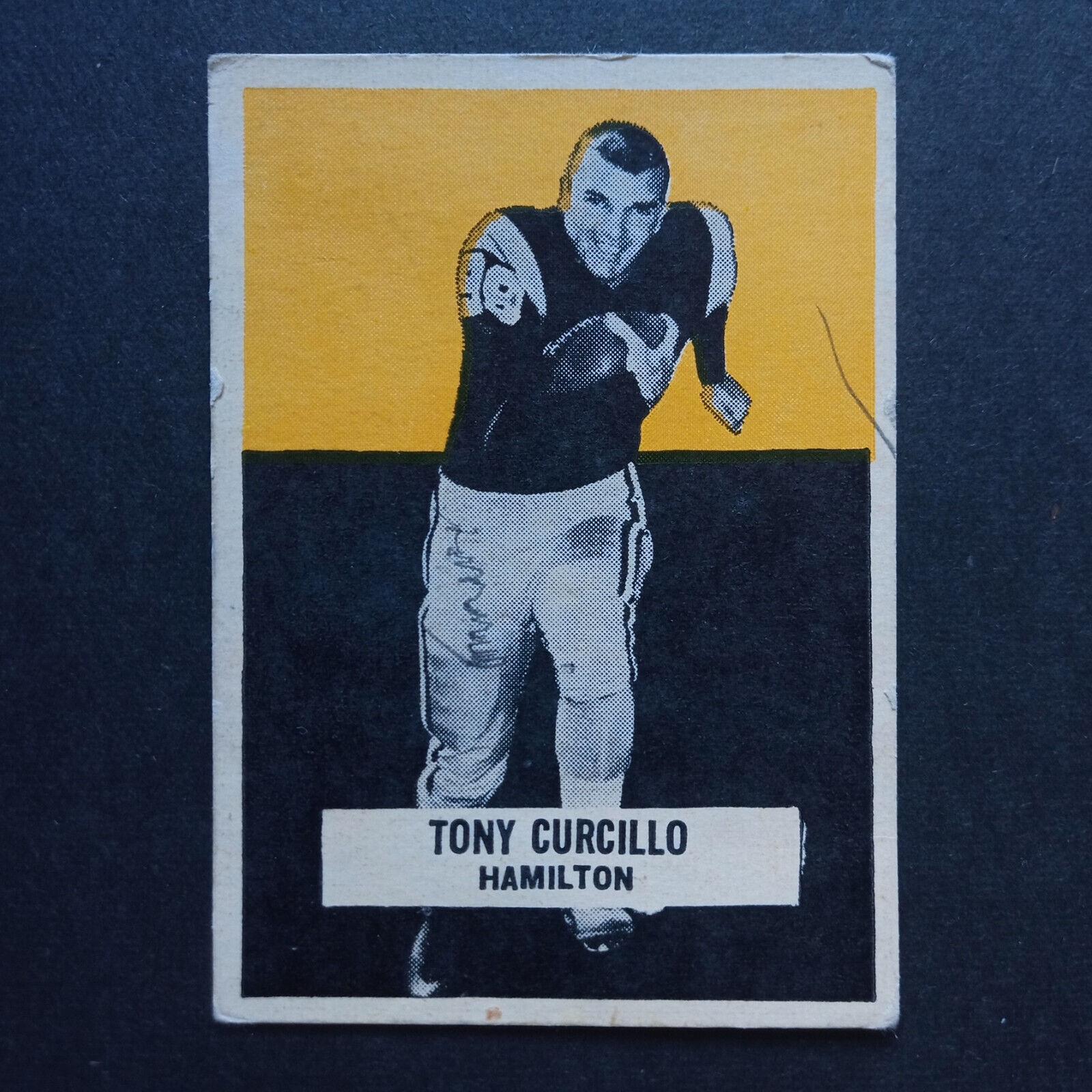 Tony Curcillo