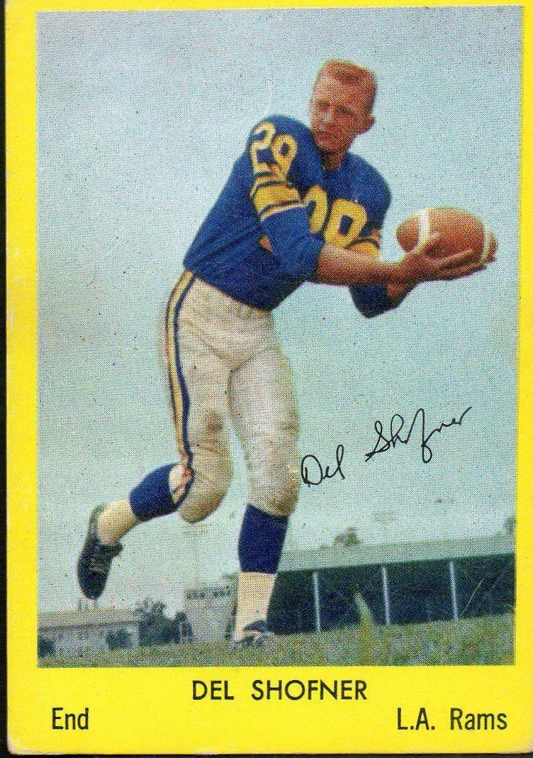 Del Shofner #15