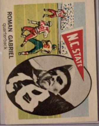 Roman Gabriel #166