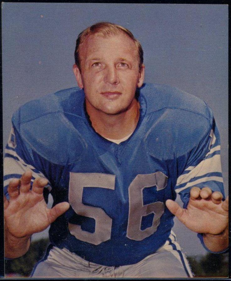 Joe Schmidt