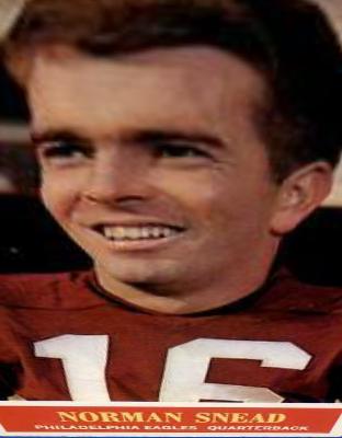 Norm Snead #138